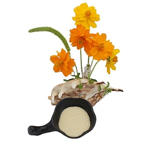 Food Additives CAS 9000-70-8 Bovine Skin Gelatin Bovine Beef Bone Gelatin 150 Bloom