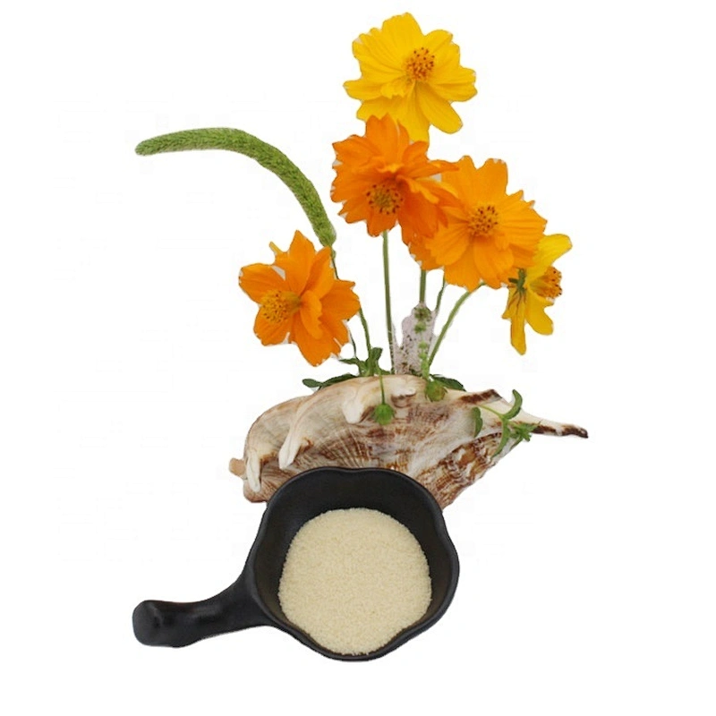 Food Additives CAS 9000-70-8 Bovine Skin Gelatin Bovine Beef Bone Gelatin 150 Bloom